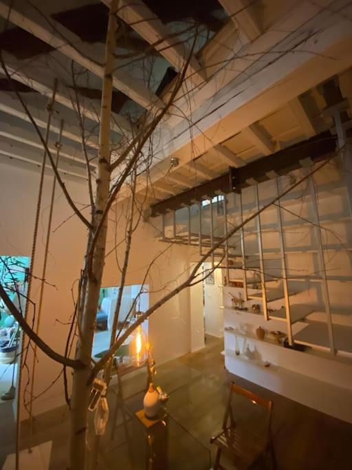 토리노 Casa Degli Alberi 아파트 외부 사진