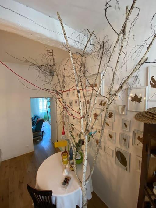 토리노 Casa Degli Alberi 아파트 외부 사진