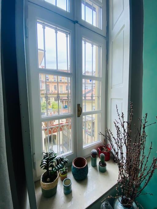 토리노 Casa Degli Alberi 아파트 외부 사진