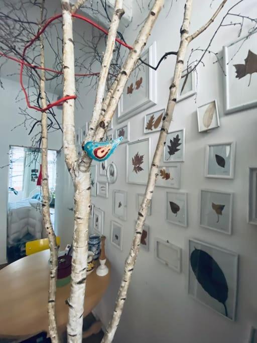 토리노 Casa Degli Alberi 아파트 외부 사진