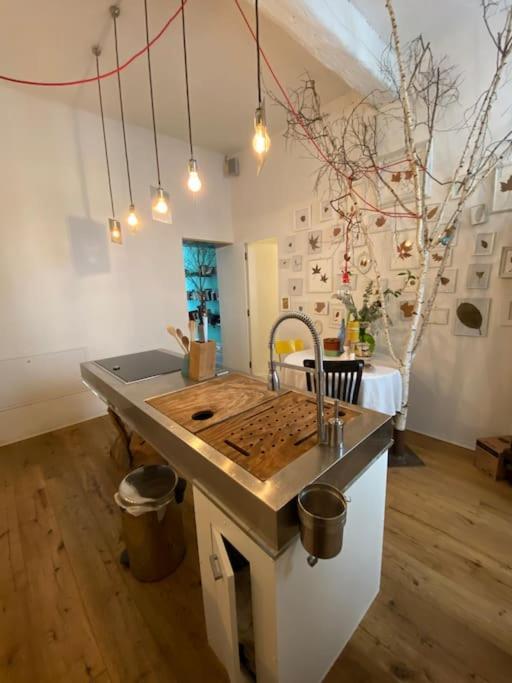 토리노 Casa Degli Alberi 아파트 외부 사진