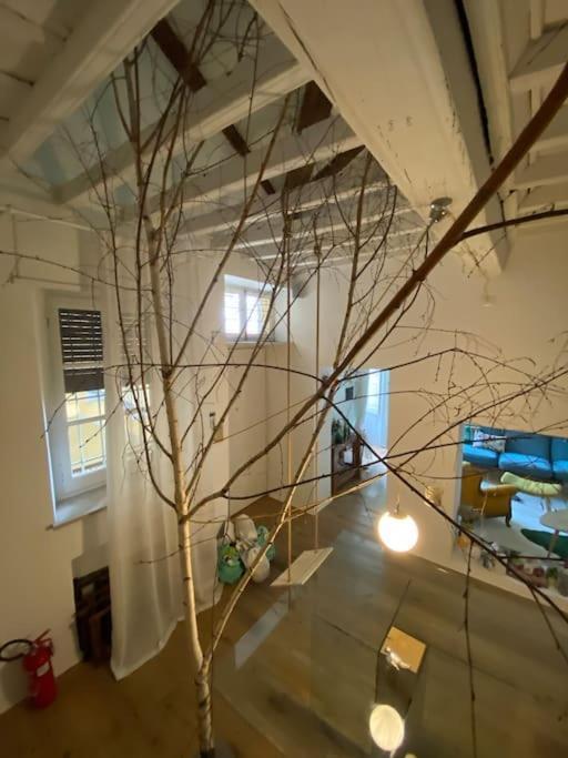 토리노 Casa Degli Alberi 아파트 외부 사진