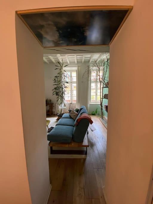 토리노 Casa Degli Alberi 아파트 외부 사진